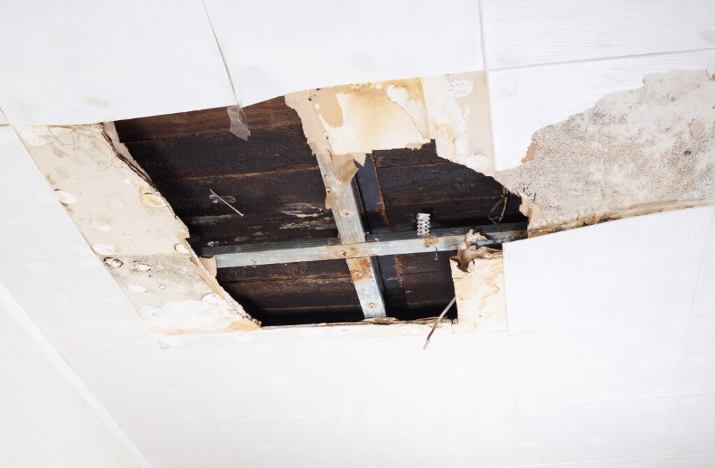 Water Damage Repair Dartmouth
