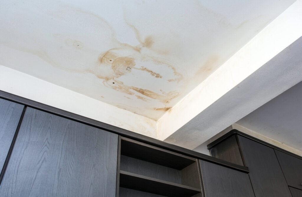 Water Damage Repair Downtown